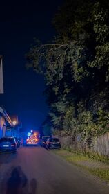 Ein Baum droht auf die Straße zu fallen und wurde durch die Feuerwehr entfernt