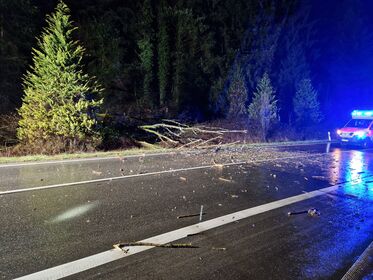 634827599 1236358142029332 9178912410035876056 n